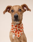 Pupkin Halloween Dog Bandana