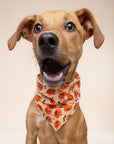 Pupkin Halloween Dog Bandana