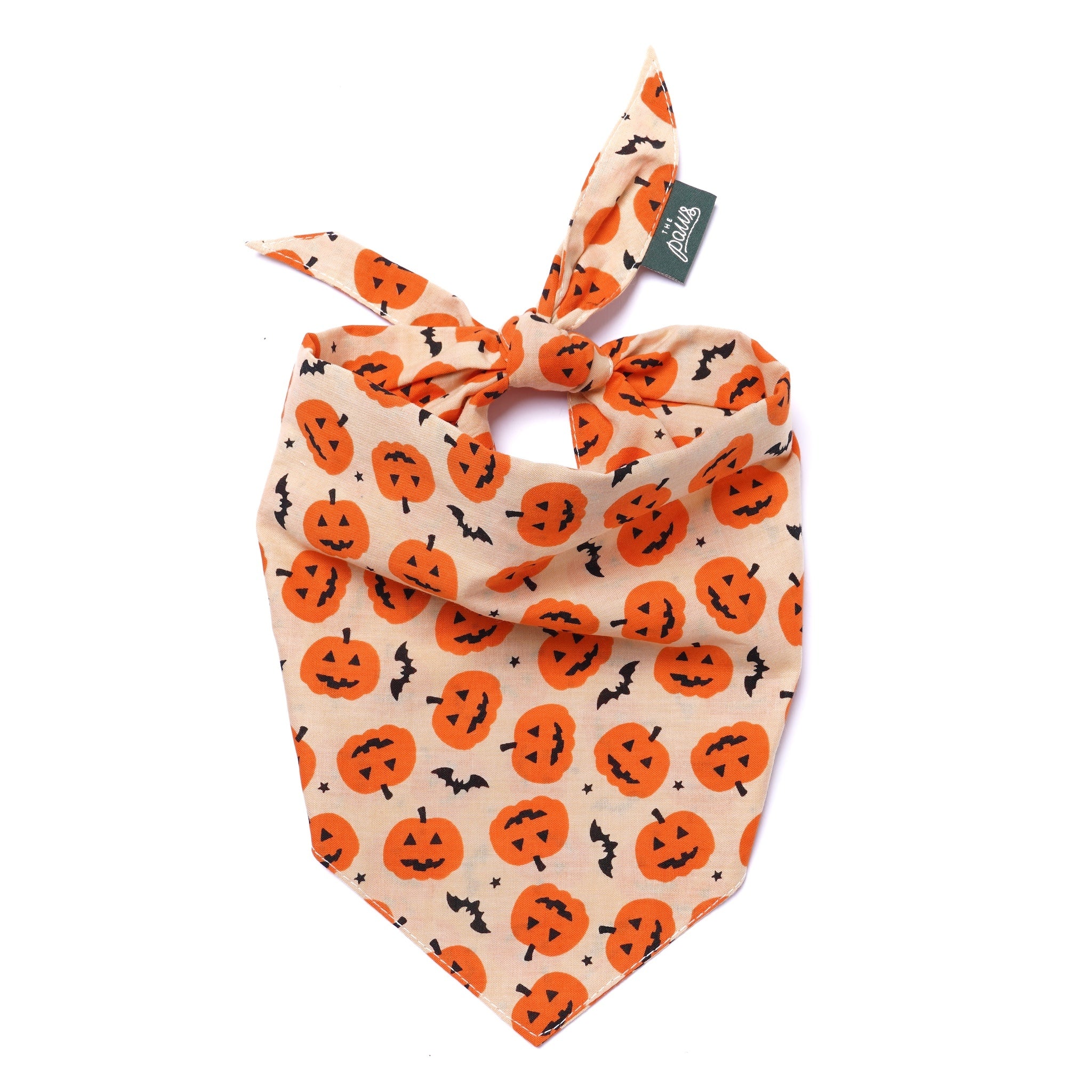Pupkin Halloween Dog Bandana