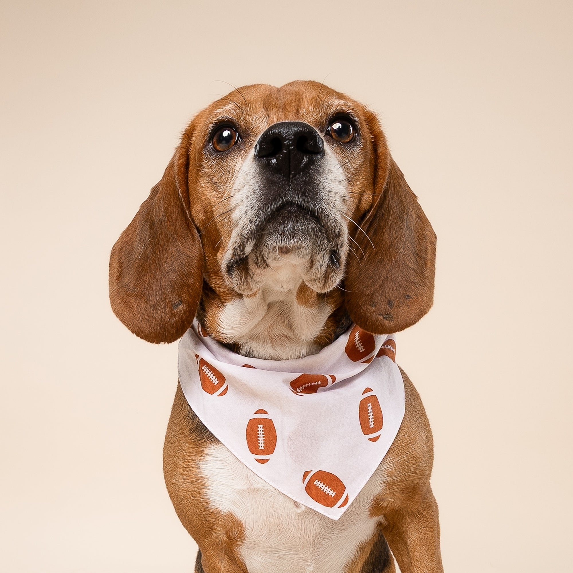 Quarterback Dog Bandana