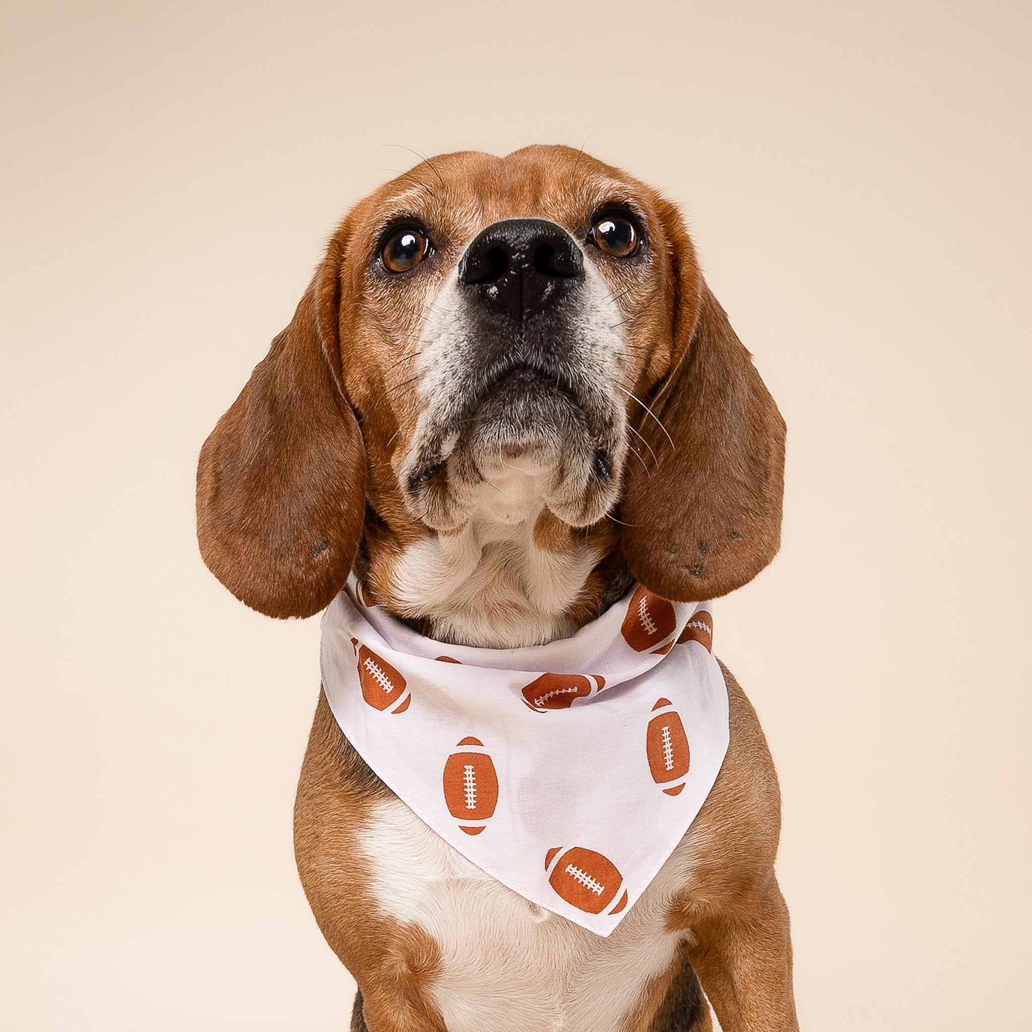 Quarterback Dog Bandana