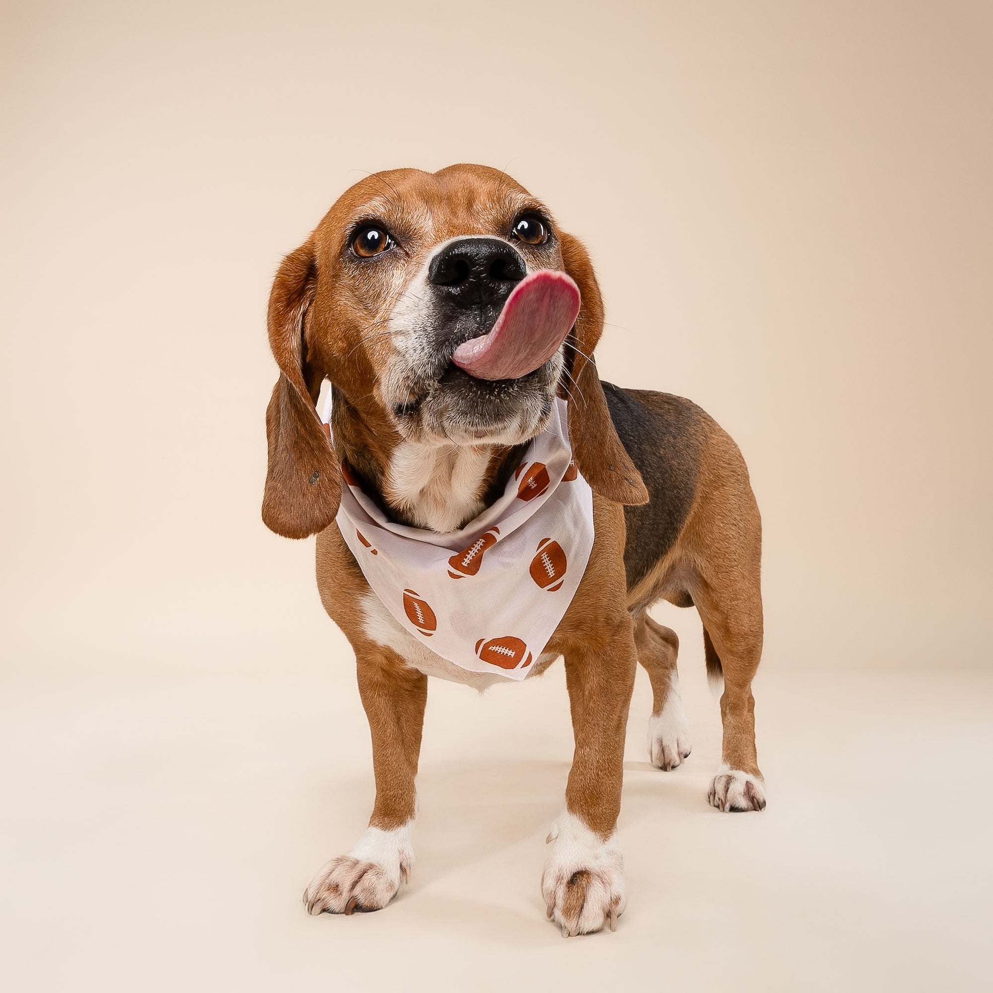 Quarterback Dog Bandana