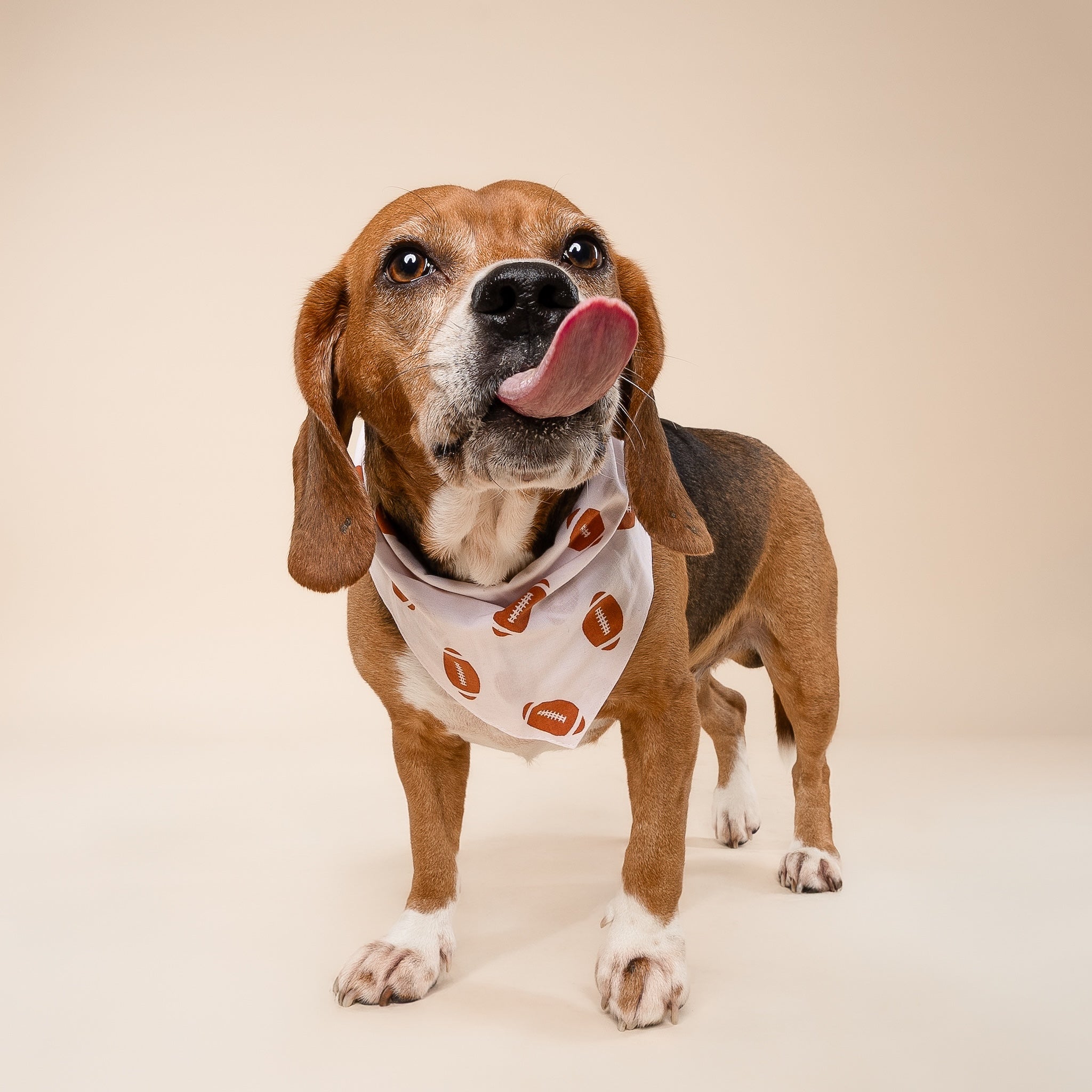 Quarterback Dog Bandana