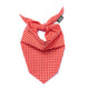 Red Gingham