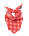 Red Gingham Dog Bandana