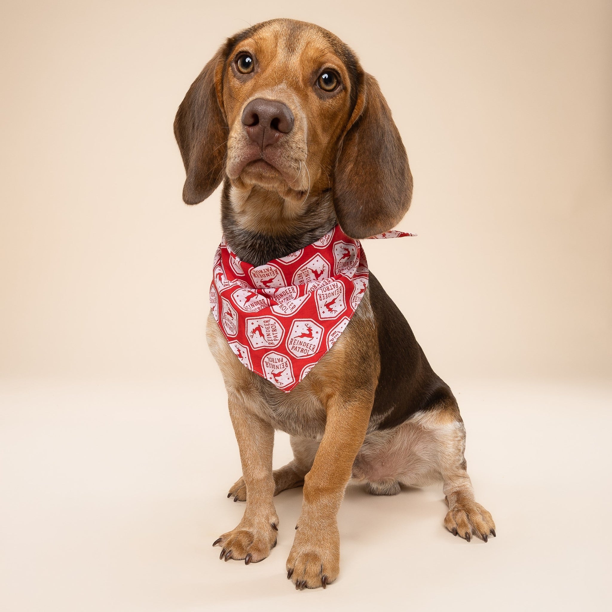 Reindeer Patrol Christmas Dog Bandana