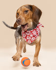Reindeer Patrol Christmas Dog Bandana