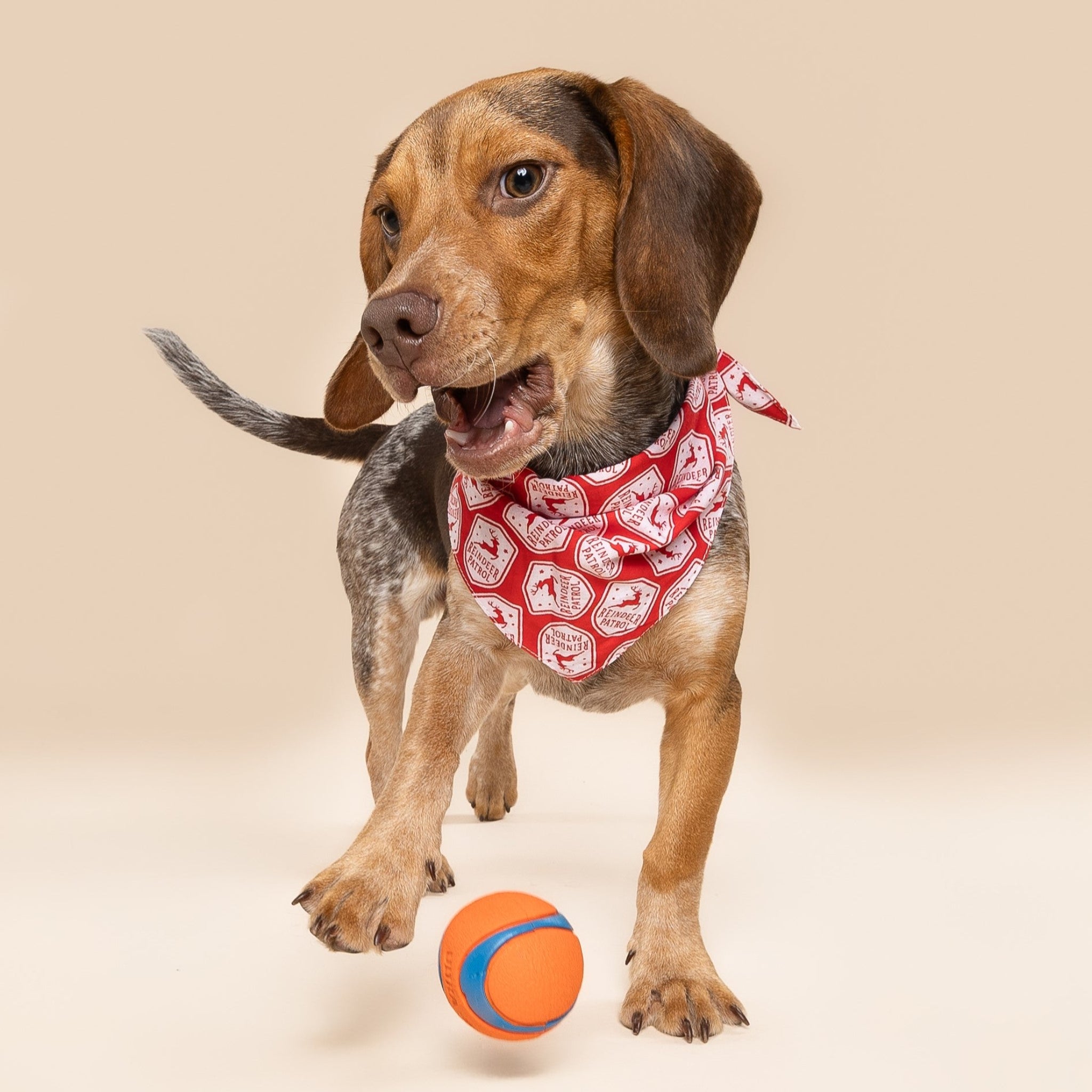 Reindeer Patrol Christmas Dog Bandana
