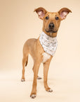 Roam Dog Bandana