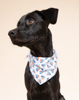 Sail Dog Bandana