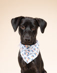 Sail Dog Bandana