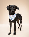 Sail Dog Bandana