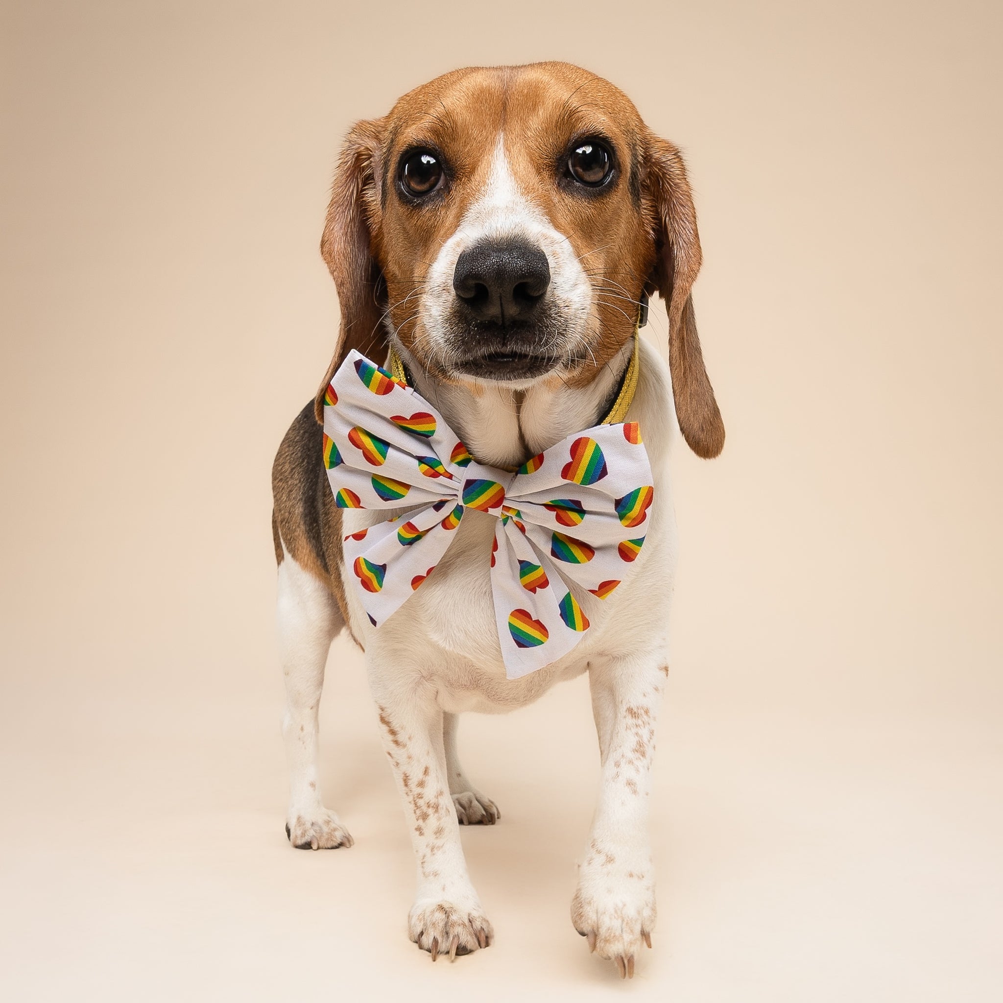 Sailor Bow - Pride Hearts