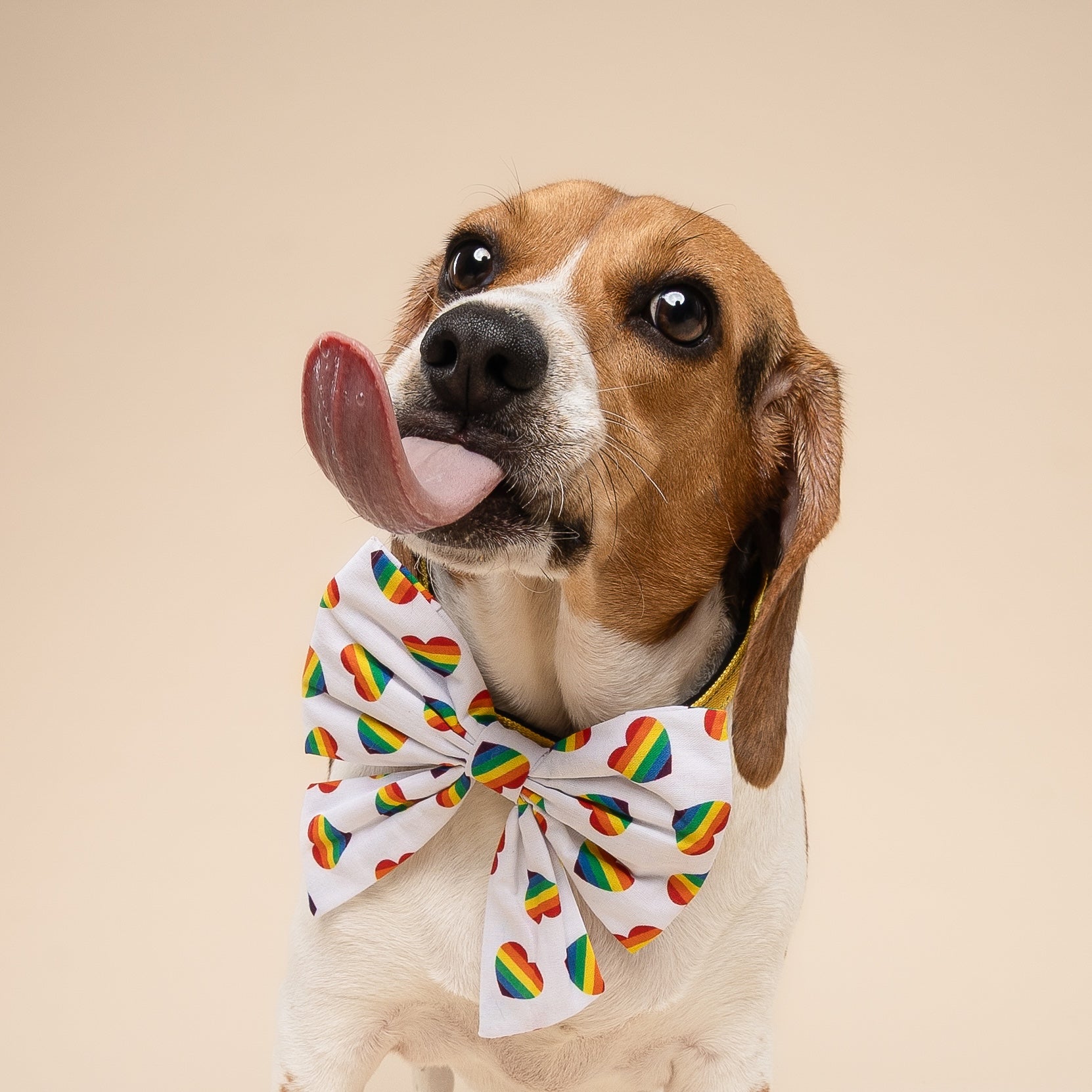 Sailor Bow - Pride Hearts