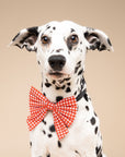 Sailor Bow - Red Gingham