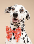 Sailor Bow - Red Gingham