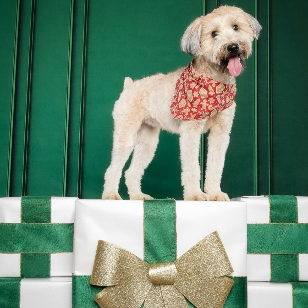 Santa's Cookies Christmas Dog Bandana