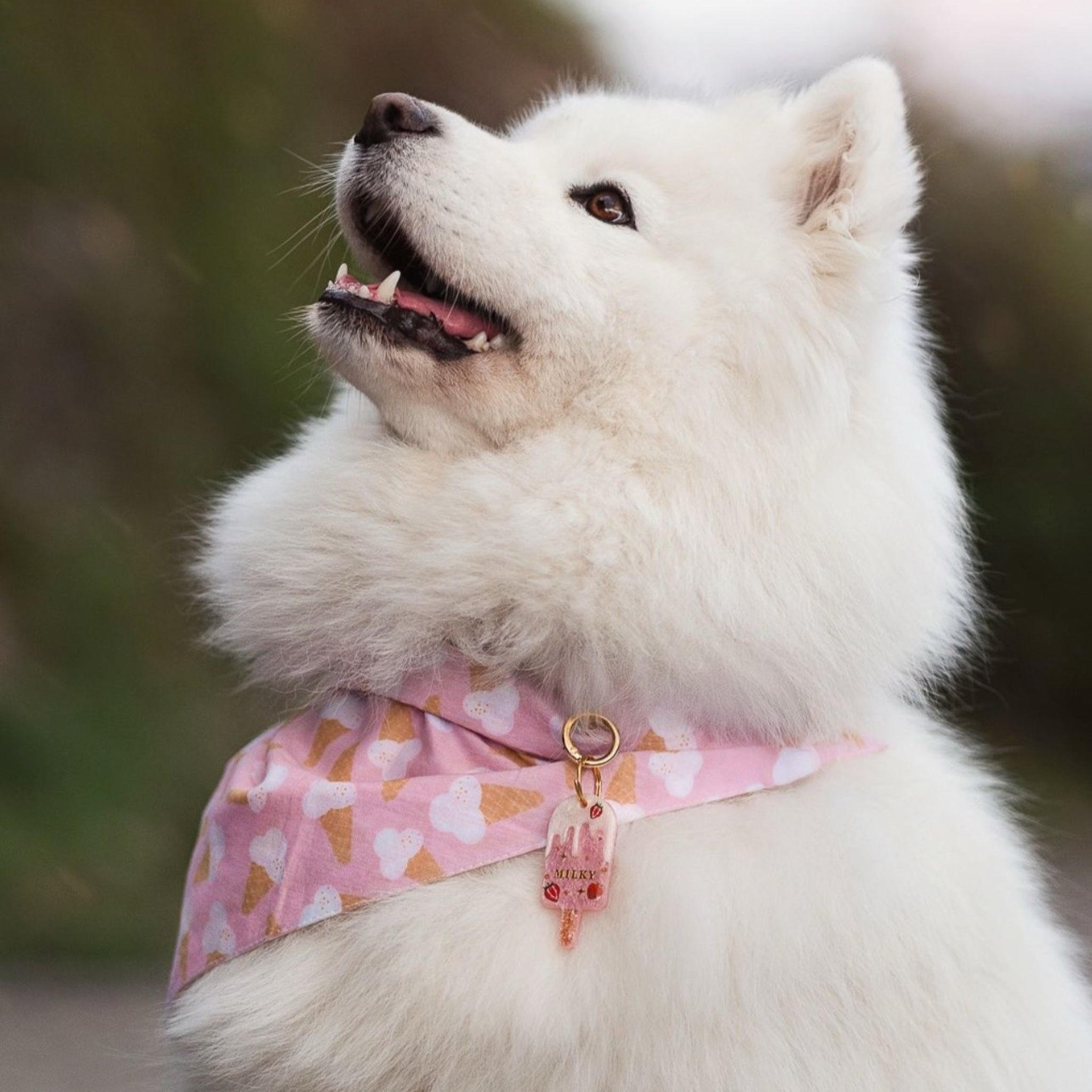 Scoops Dog Bandana