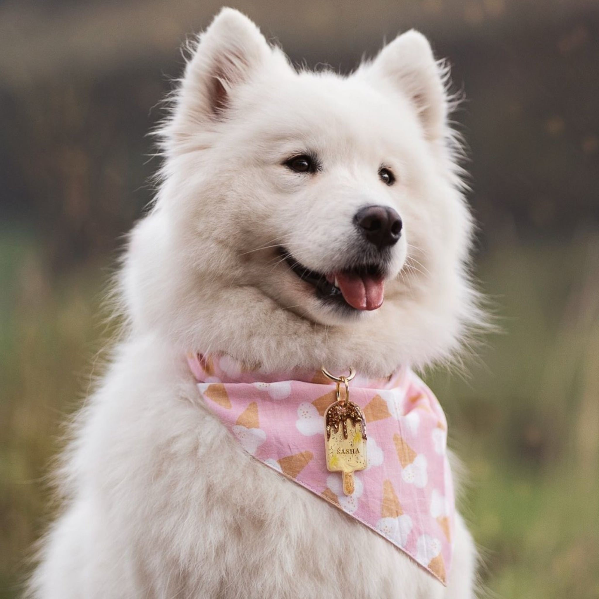 Scoops Dog Bandana
