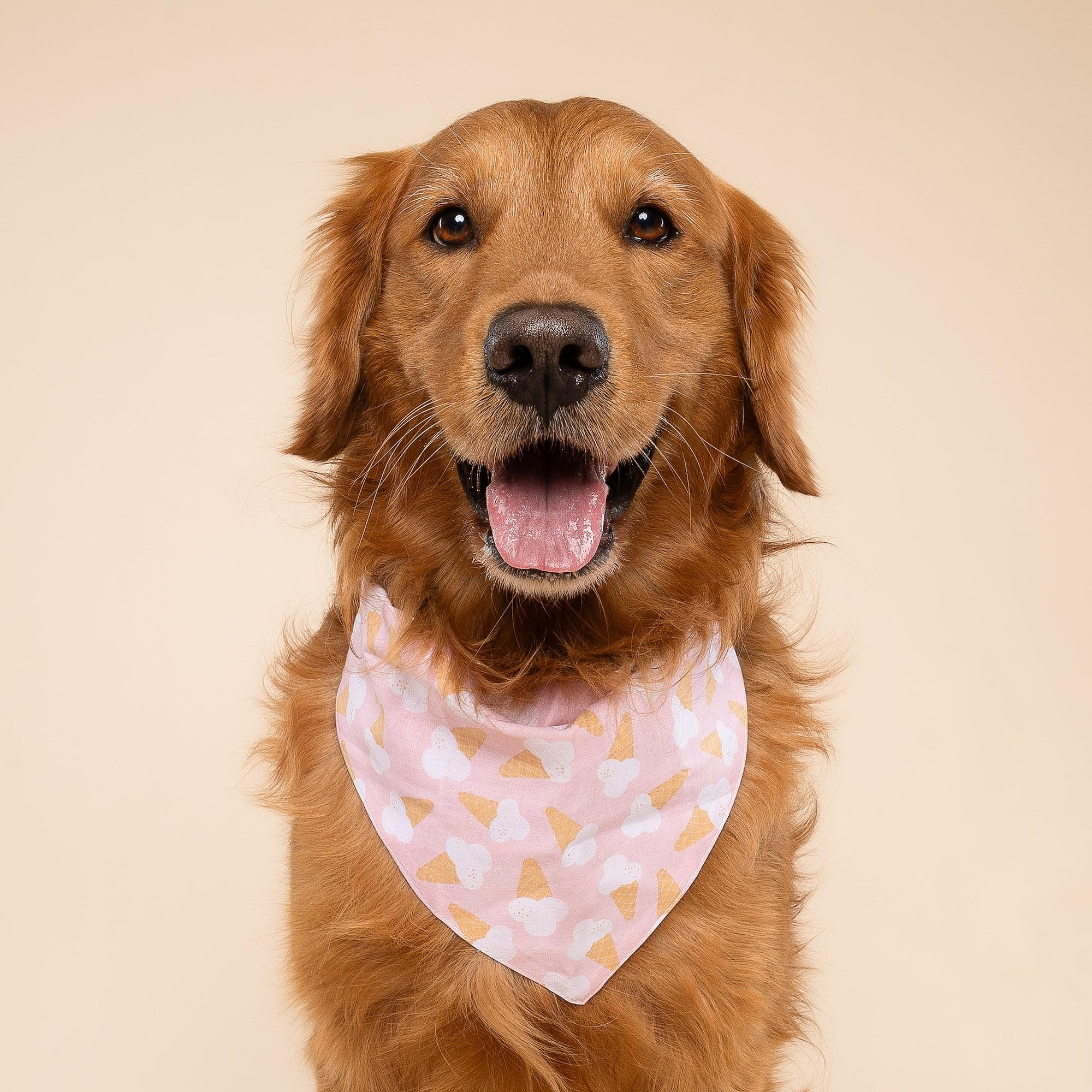 Scoops Dog Bandana