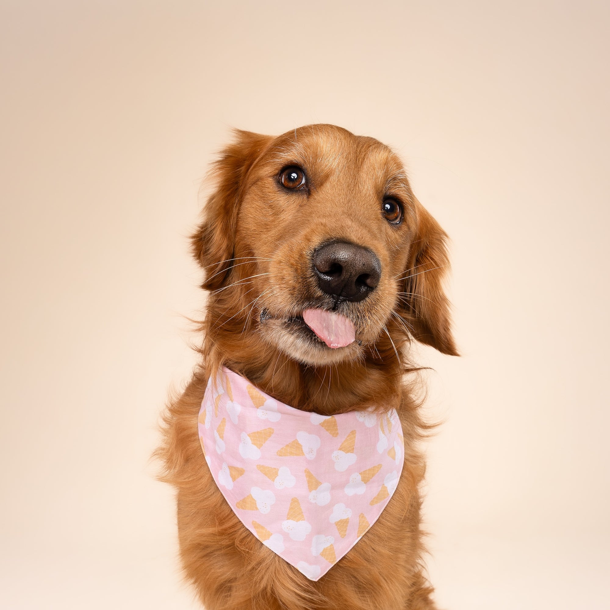 Scoops Dog Bandana