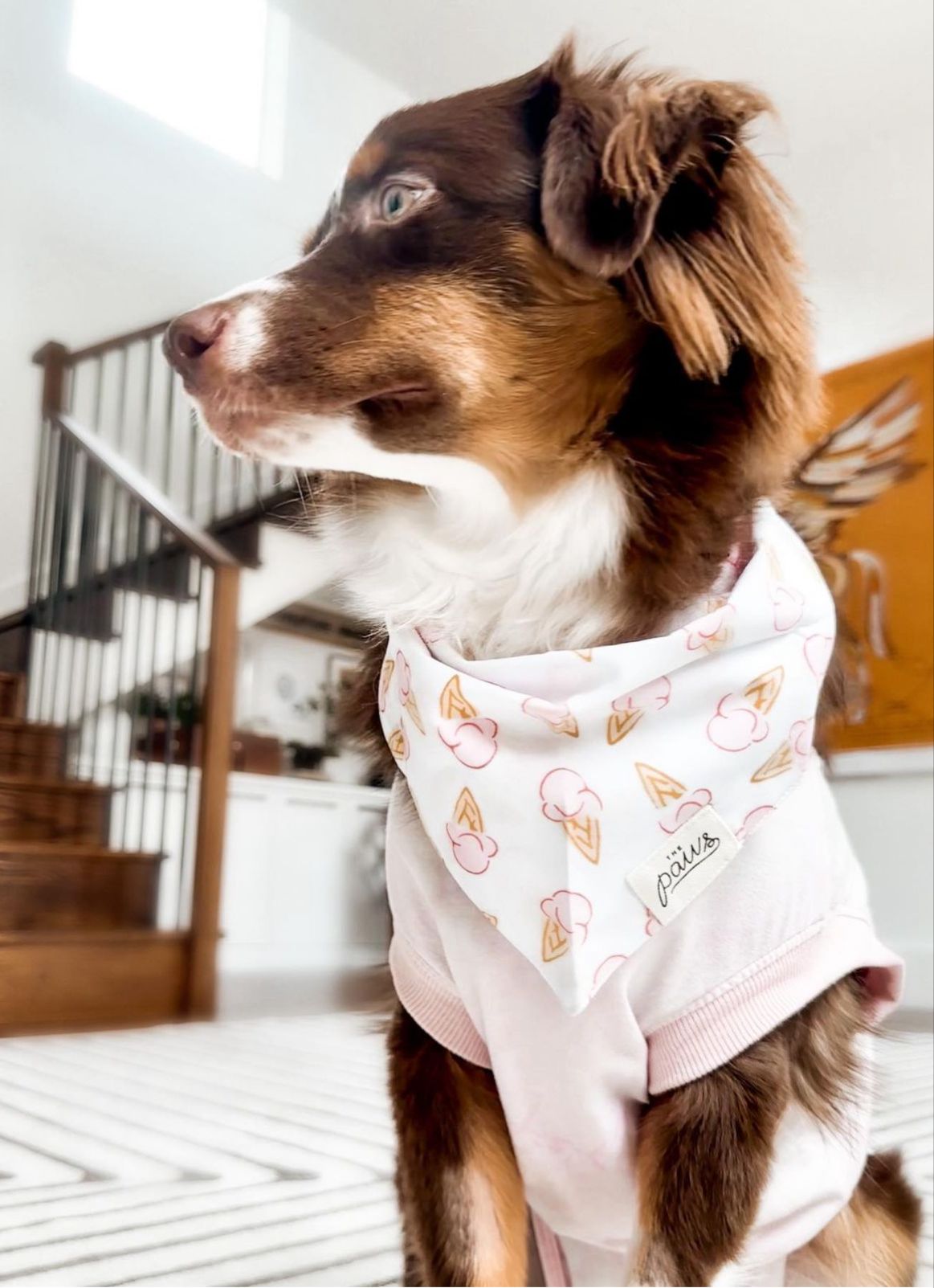 Sherbet Bandana from The Paws