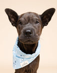 Ski Dog Bandana