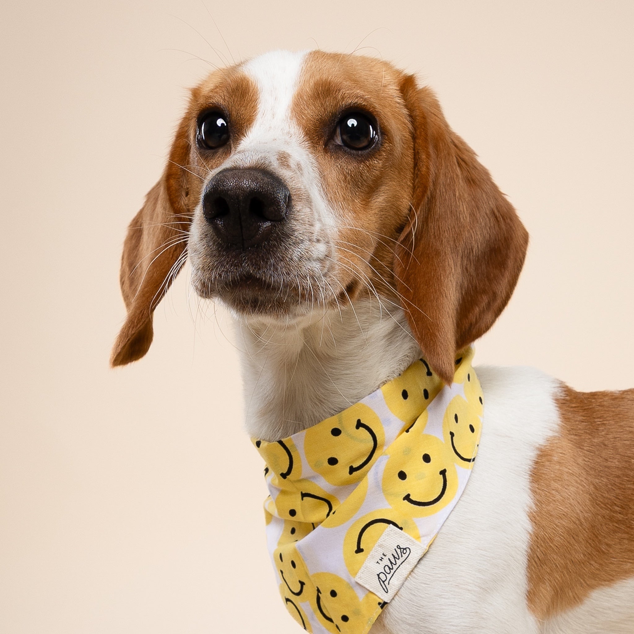 Smile Dog Bandana