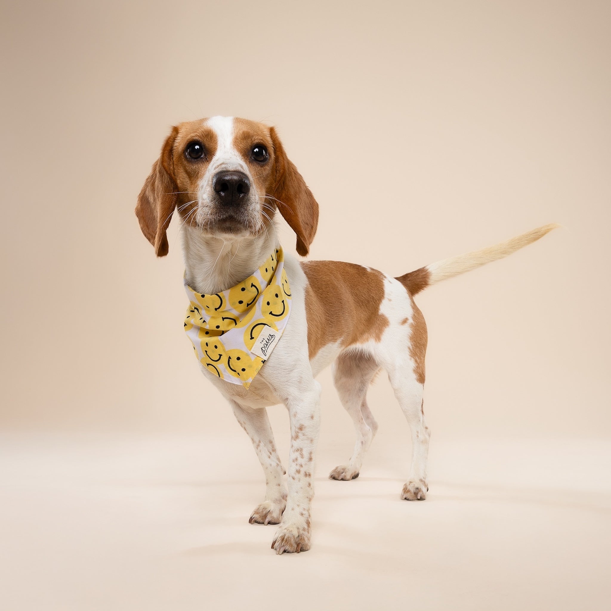Smile Dog Bandana