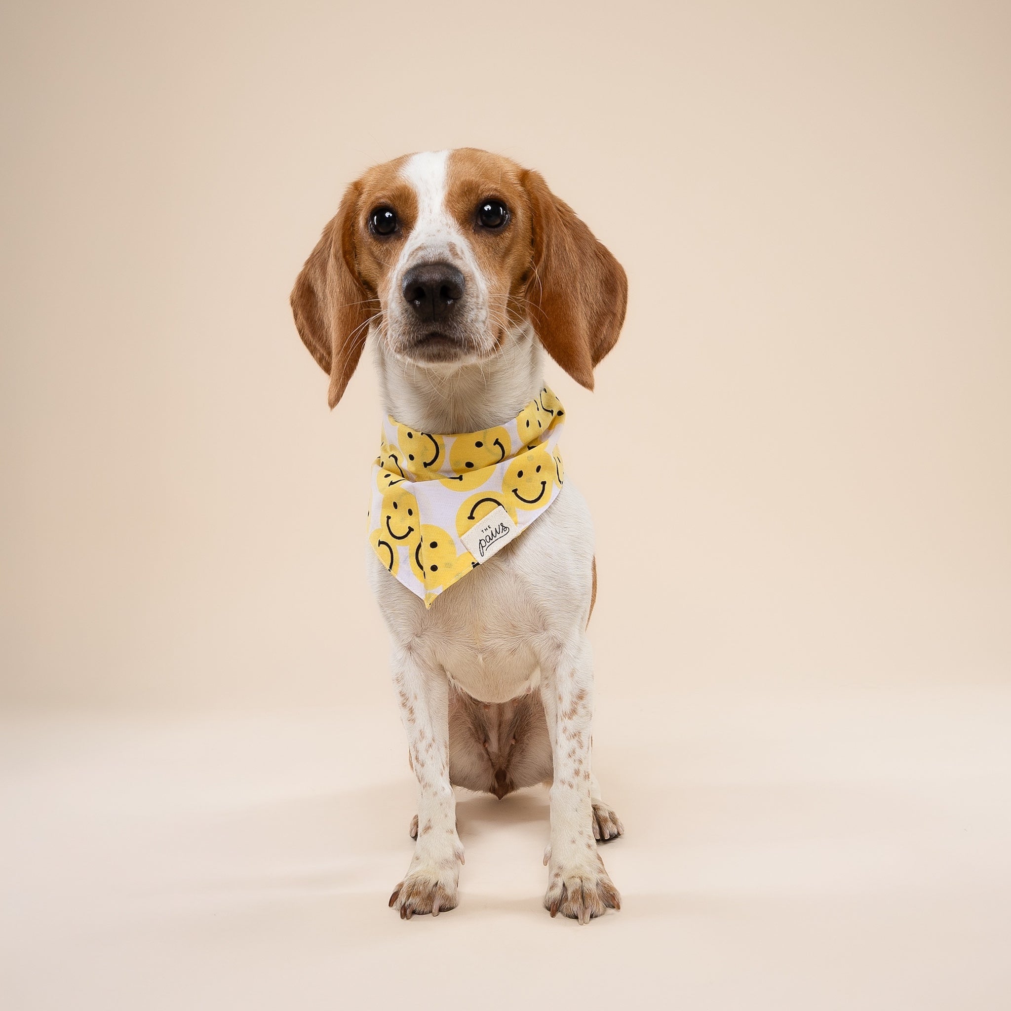 Smile Dog Bandana