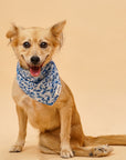 Blue Berry Dog Bandana from The Paws