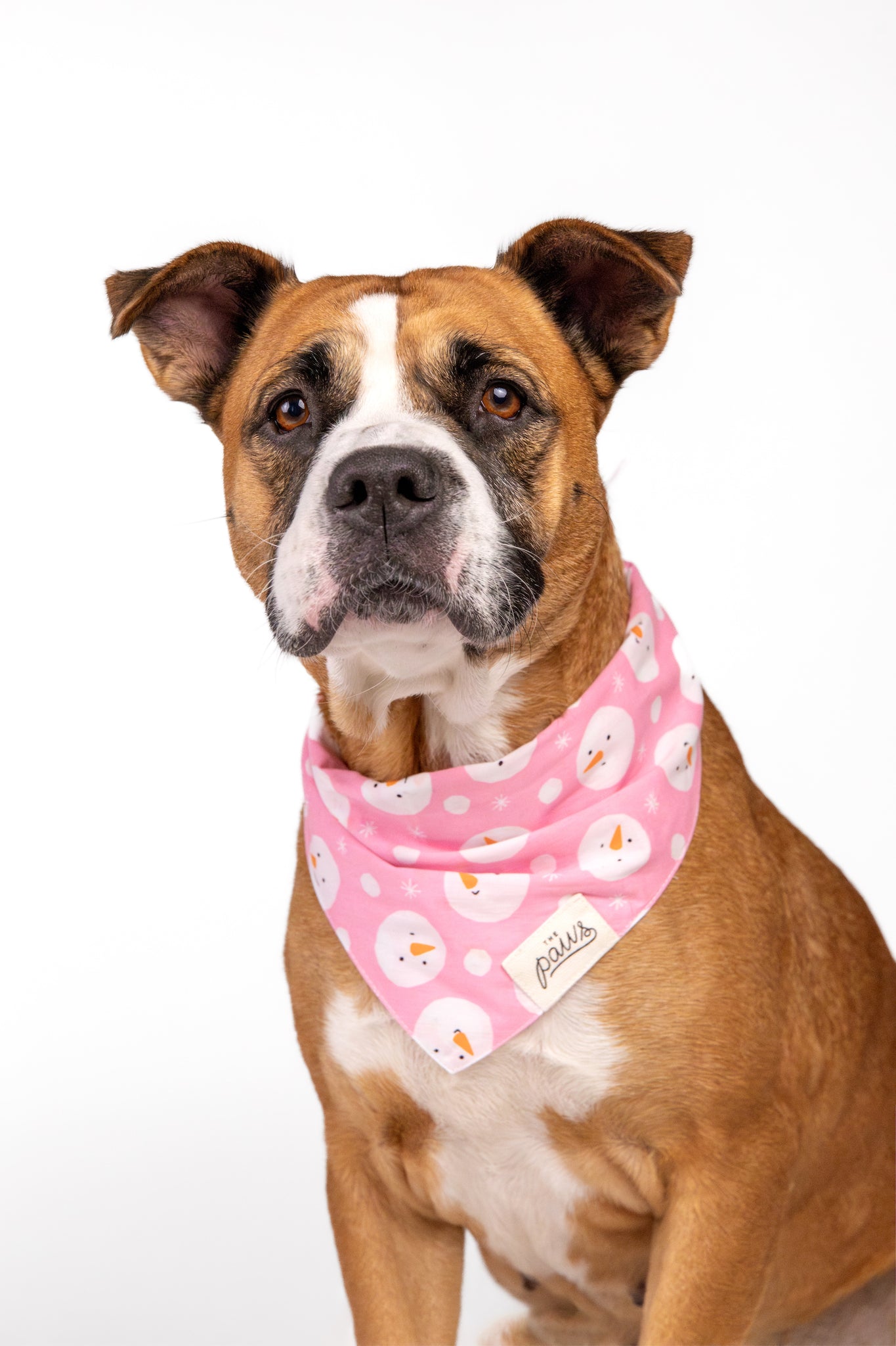 Snowball Dog Bandana
