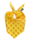 3 Pack of Summer Dog Bandanas
