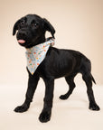 Sparkle Pawty Blue Dog Bandana
