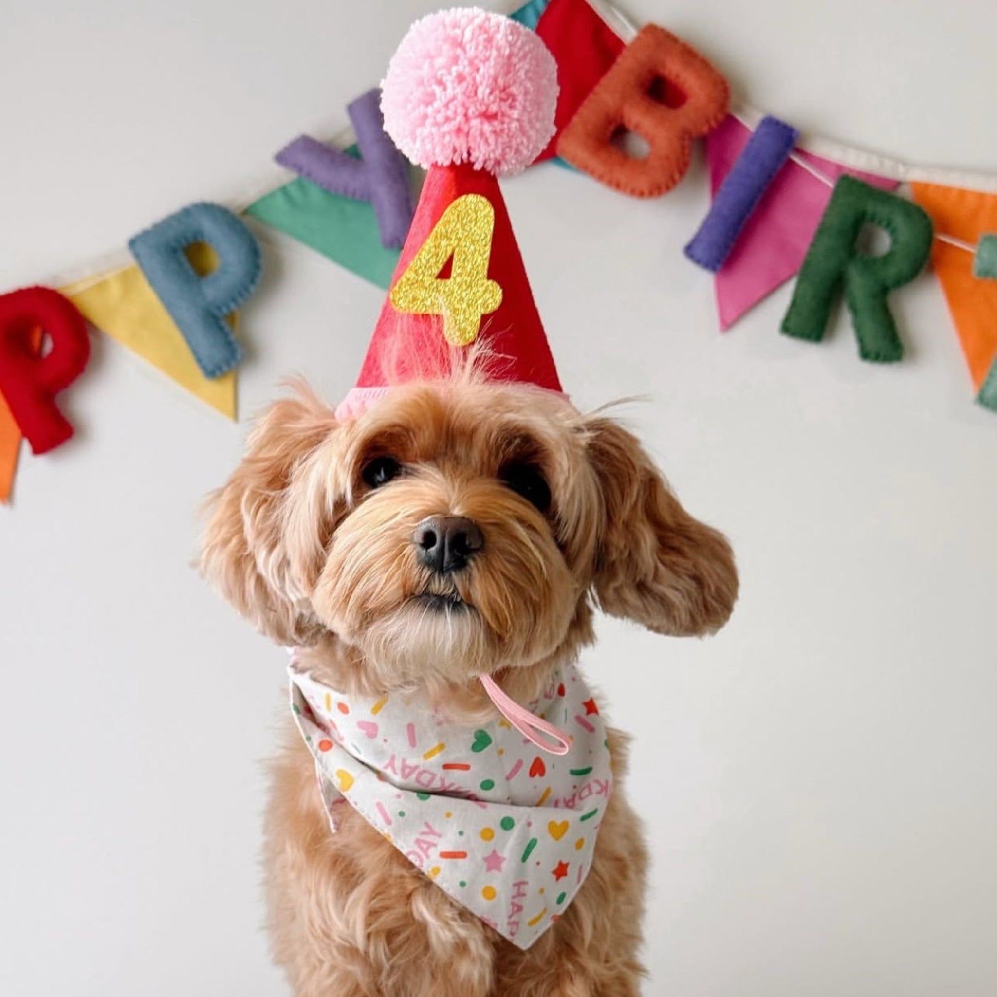 Sparkle Pawty Pink Dog Bandana