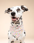 Sparkle Pawty Pink Dog Bandana
