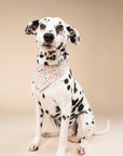 Sparkle Pawty Pink Dog Bandana