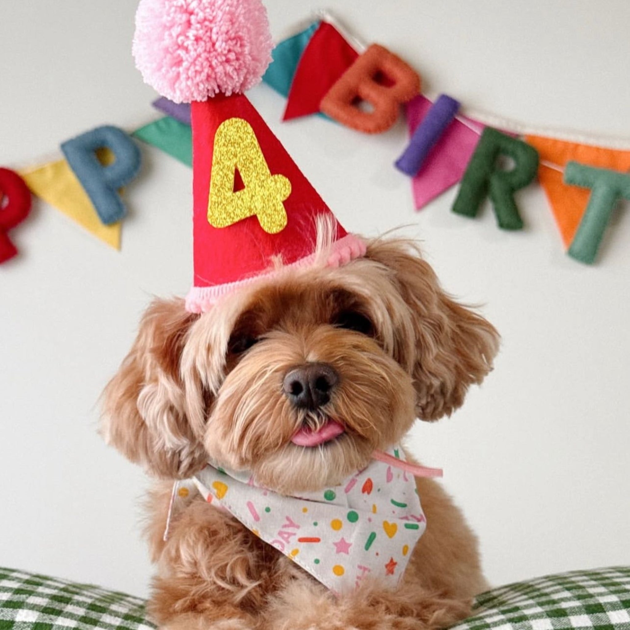 Sparkle Pawty Pink Dog Bandana