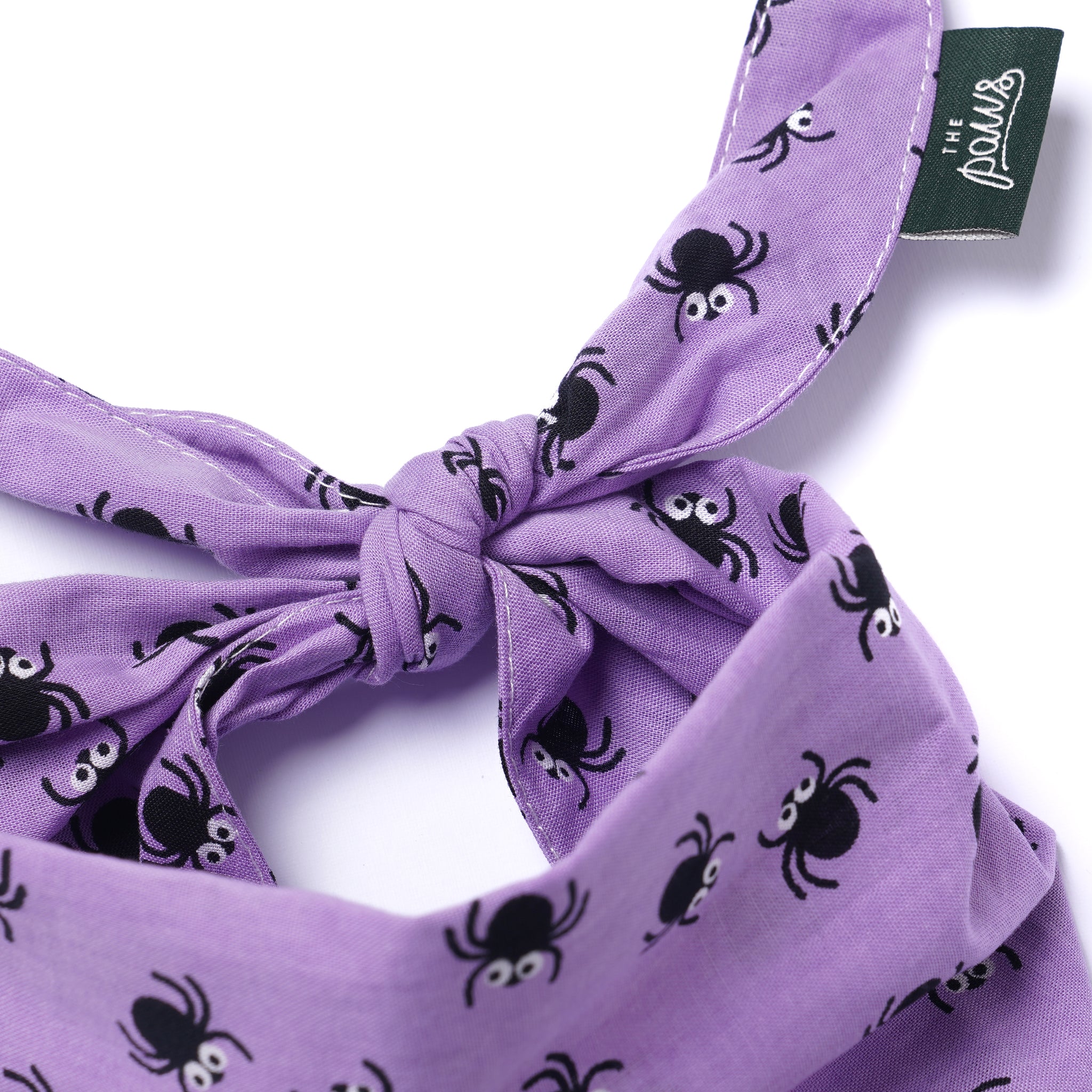 Spiders Dog Bandana