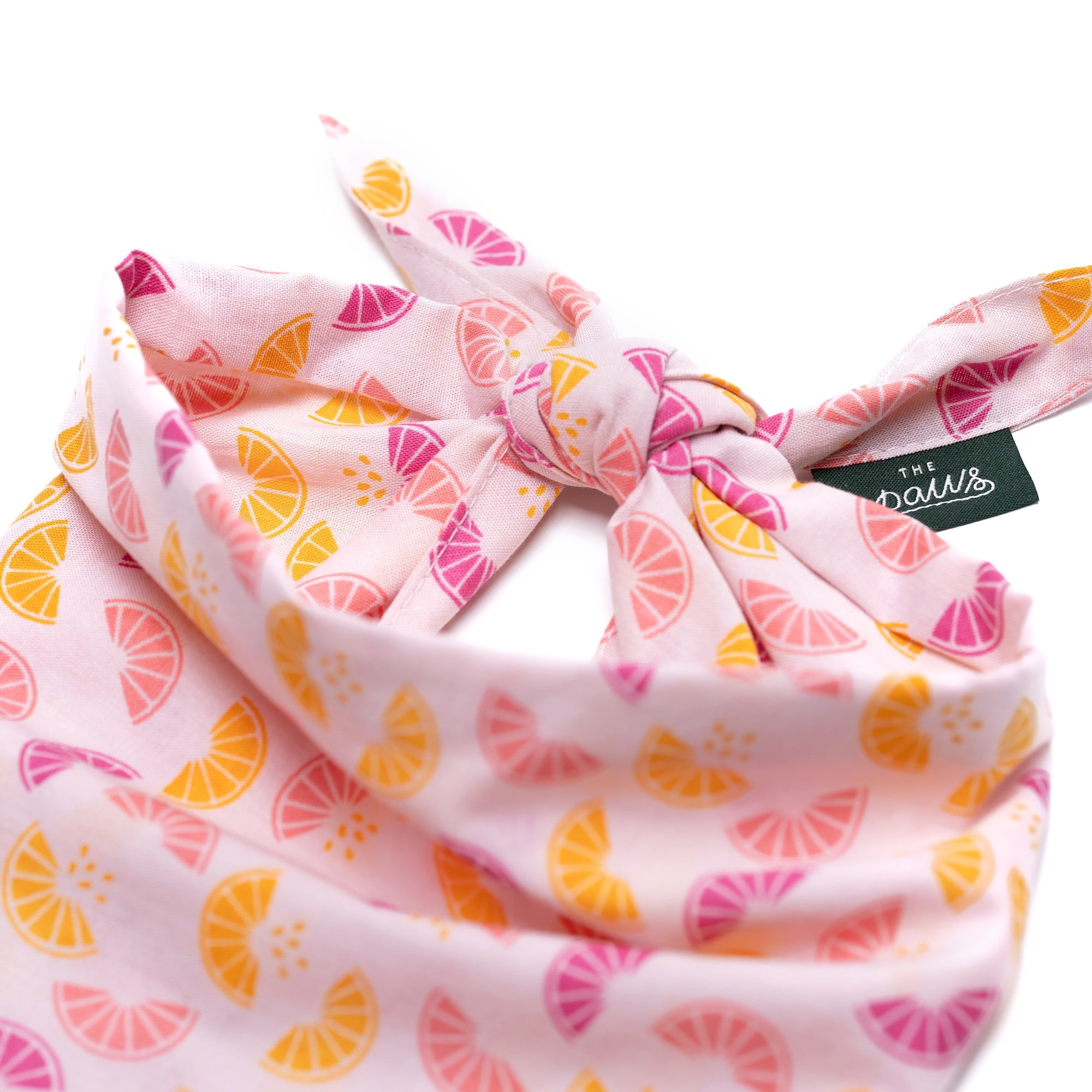 Squeezed Dog Bandana