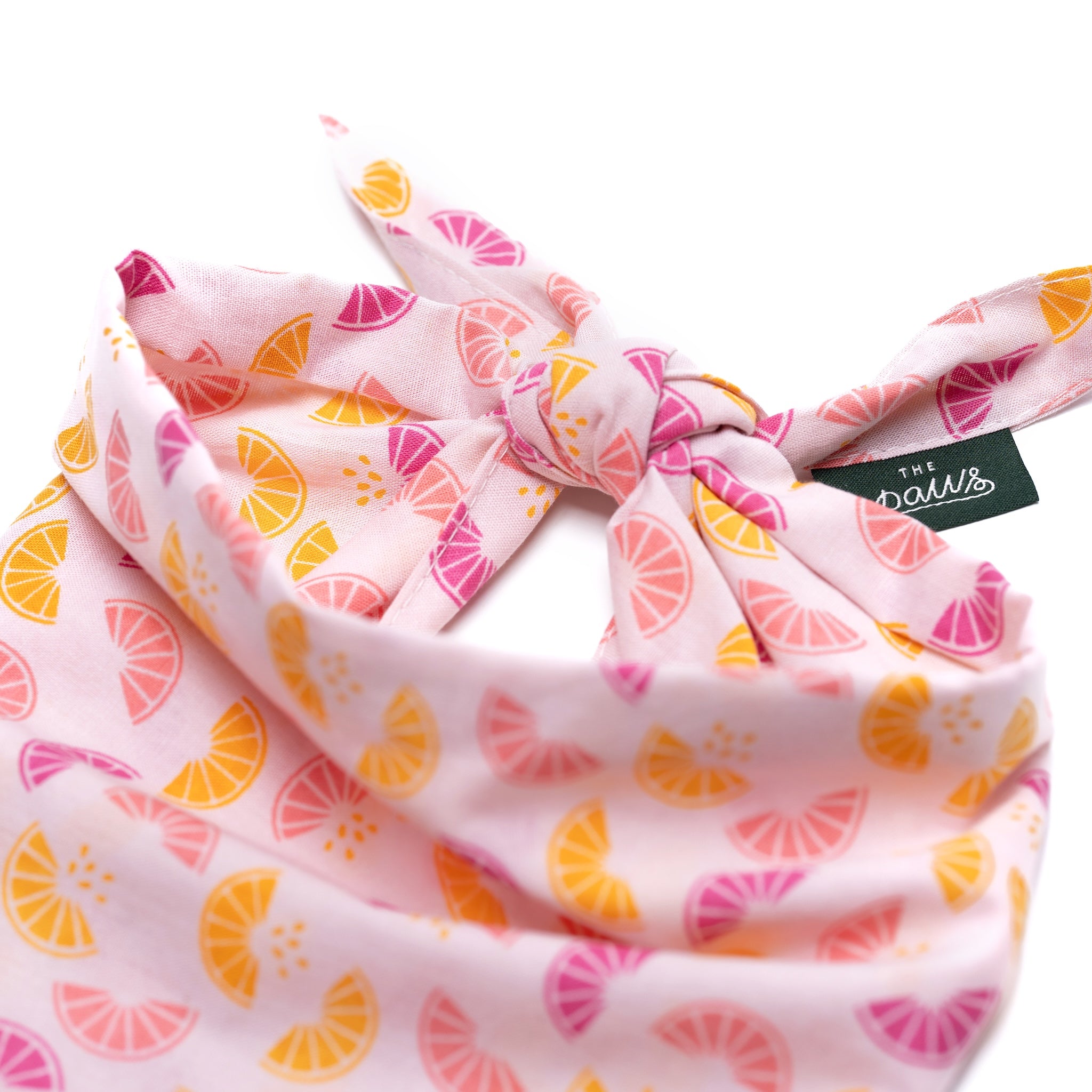 Squeezed Dog Bandana