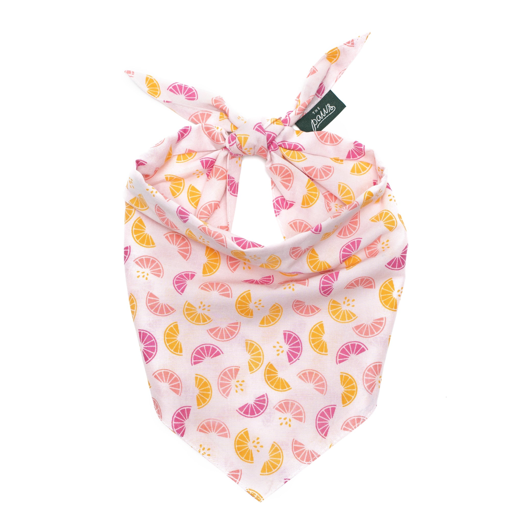 Squeezed Dog Bandana