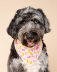 Squeezed Dog Bandana