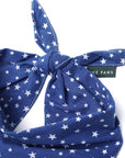 Starlet Blue Dog Bandana from The Paws - Detail