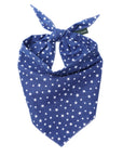 Starlet Blue Dog Bandana from The Paws