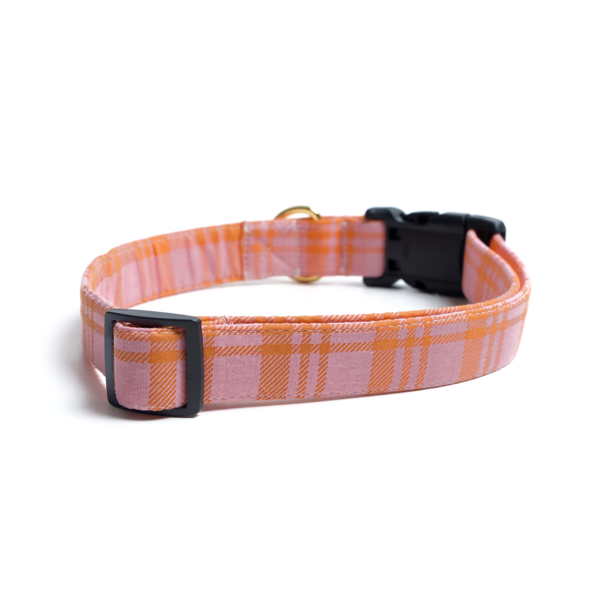 Stevie Collar