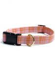 Stevie Collar