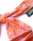 Stevie Dog Bandana from The Paws