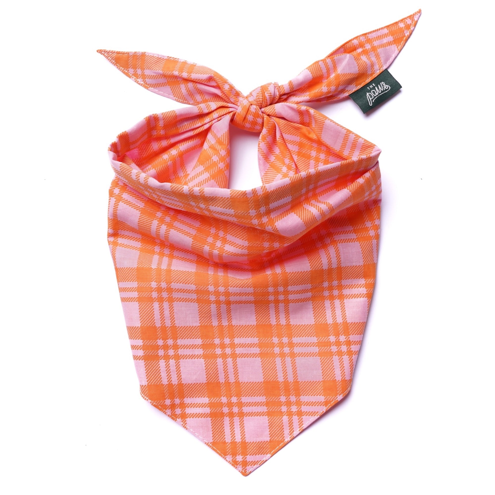 Stevie Dog Bandana from The Paws