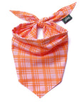 Stevie Dog Bandana from The Paws